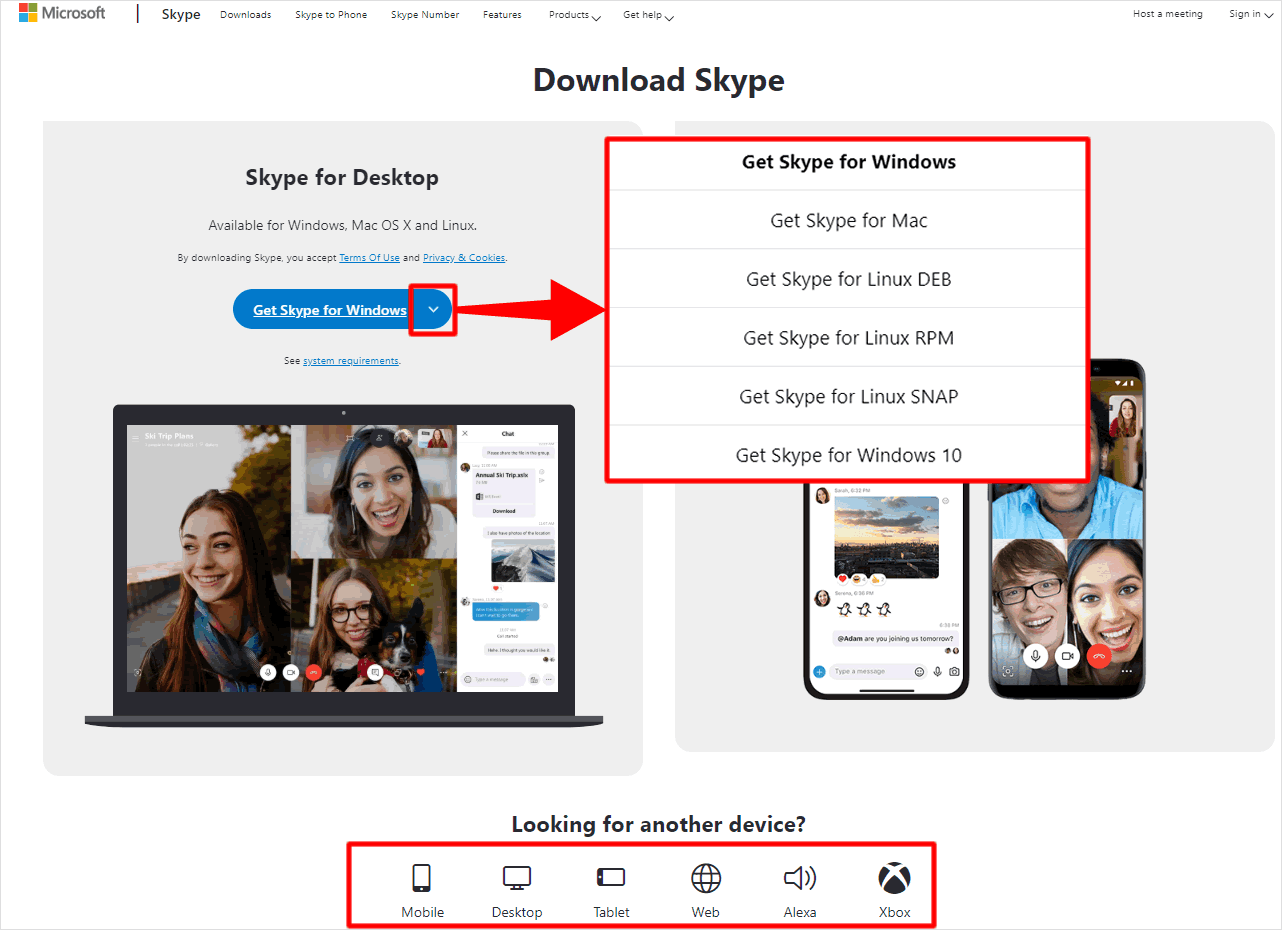 หน้าเว็บ Skype